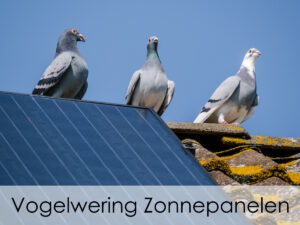 Vogelwering Zonnepanelen - je zonnepanelen - 2023